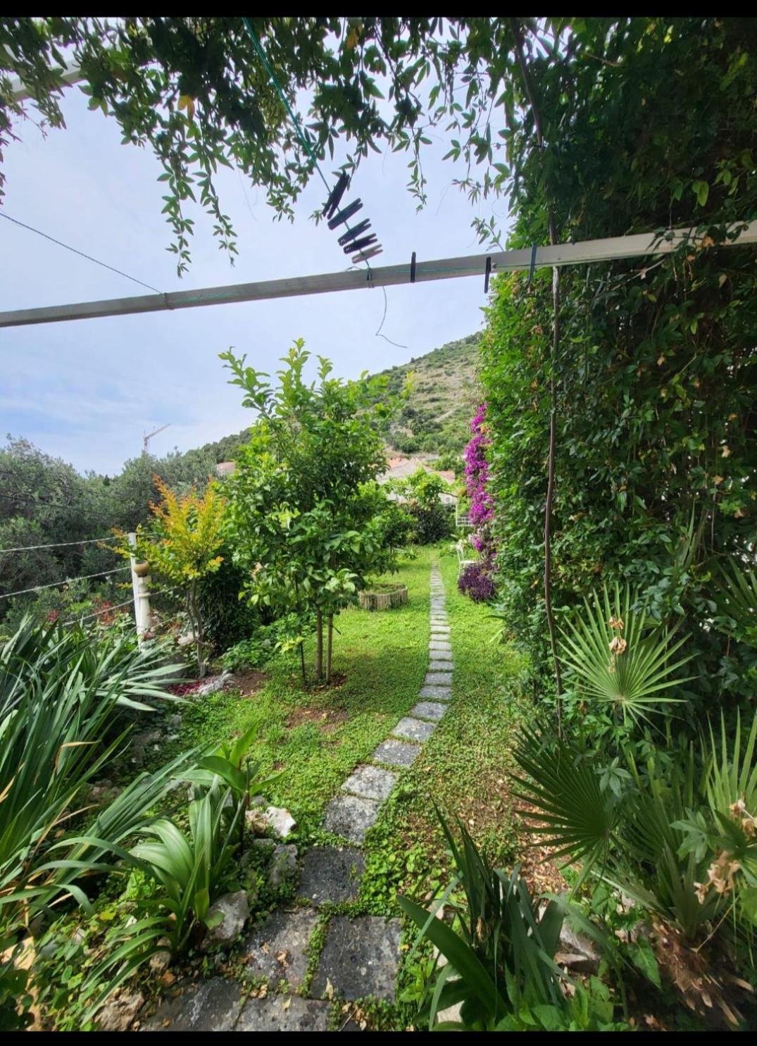 Greengarden Dubrovnik Exterior photo